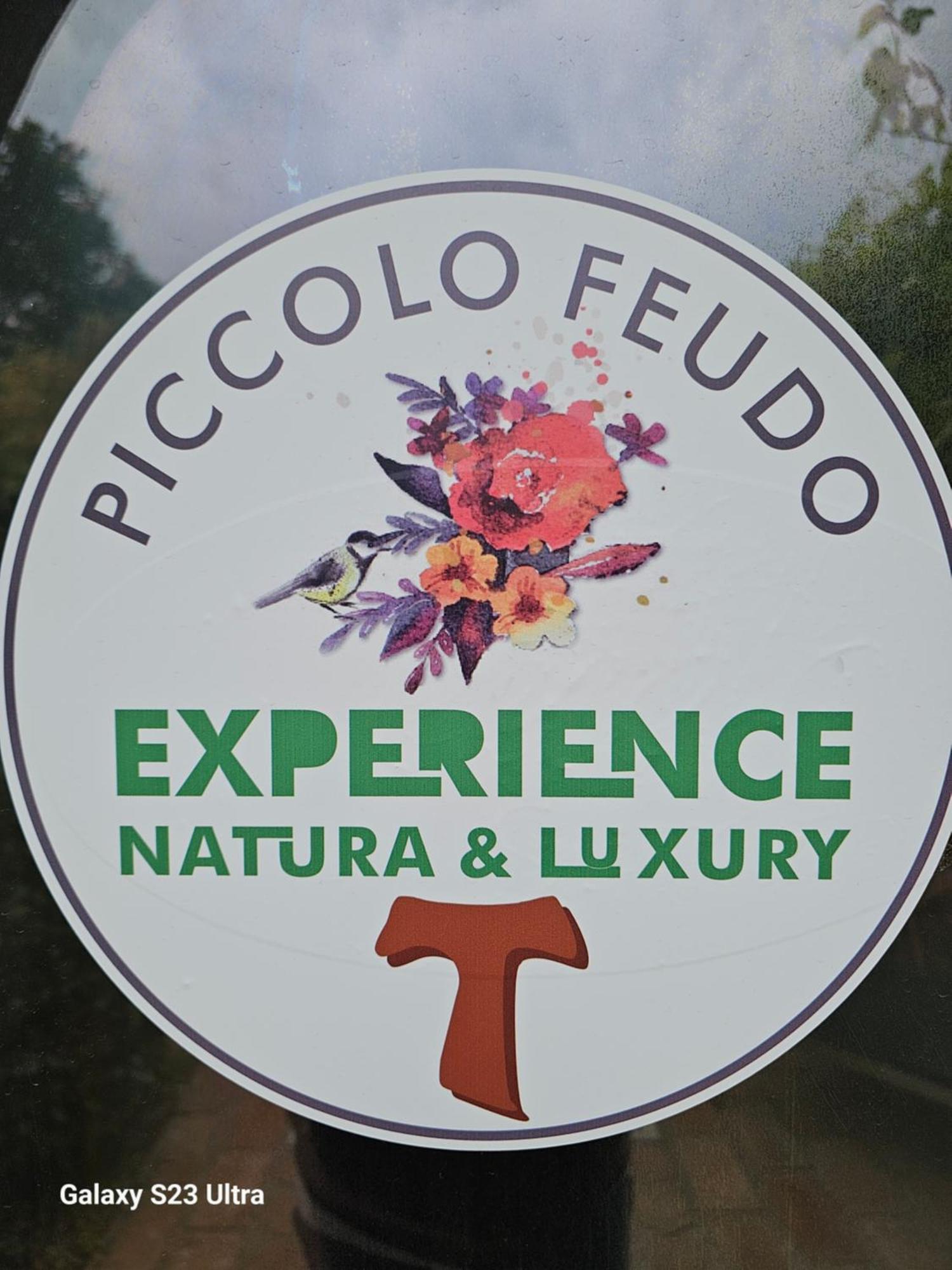 Piccolo Feudo Green Resort (Adults Only) 비테르보 객실 사진